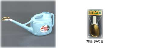 傤